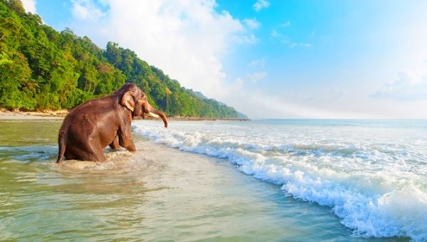 Magical Andaman 