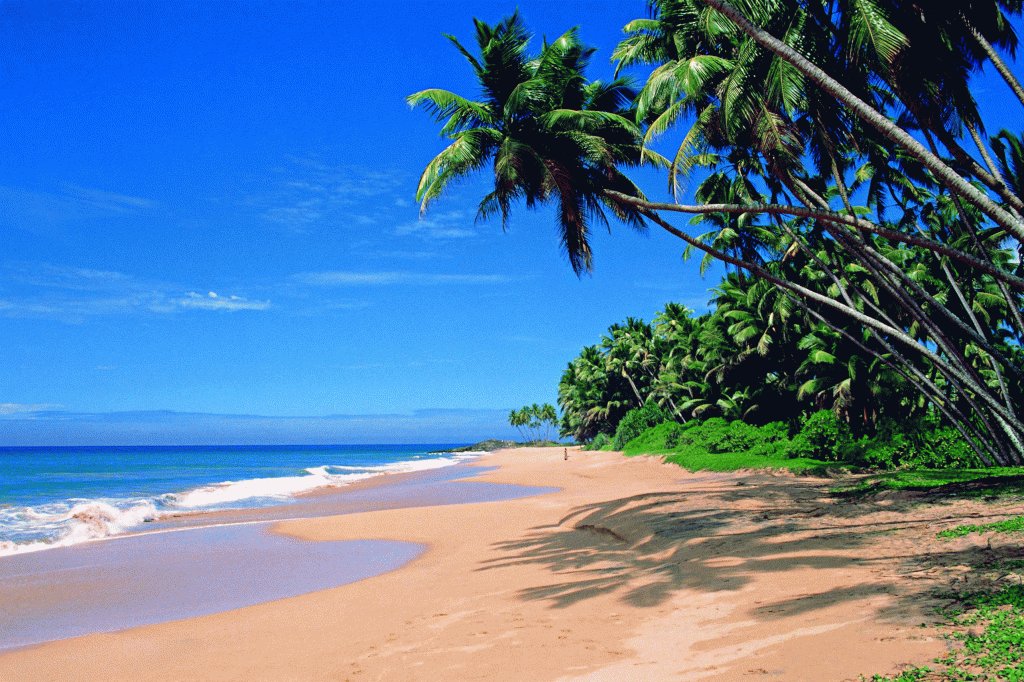 SIC Beach Bliss: Exploring Goa Coastal Wonders